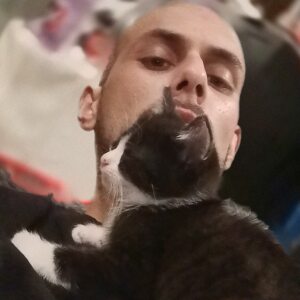 Profilbild von Kevin Busch