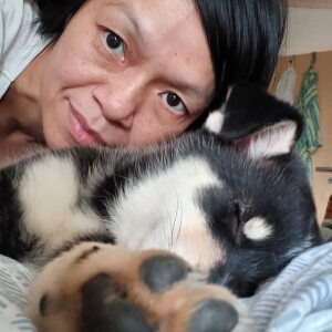 Profilbild von Kim Duong