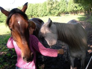 Profilbild von Kirsten van Hoorn