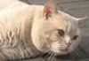 Profilbild von Kirstin Vieth