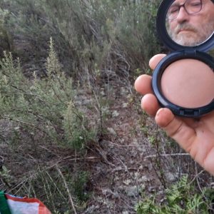 Profilbild von Klaus Michael Hein