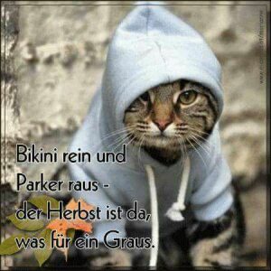 Profilbild von Klaus Peter Sewering