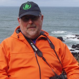 Profilbild von Klaus Baston