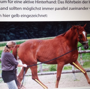 Profilbild von Klaus Birkenstock