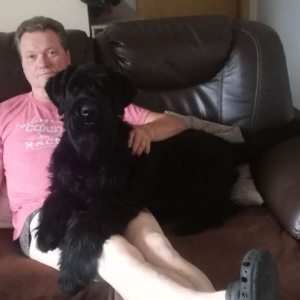 Profilbild von Klaus Morgenstern