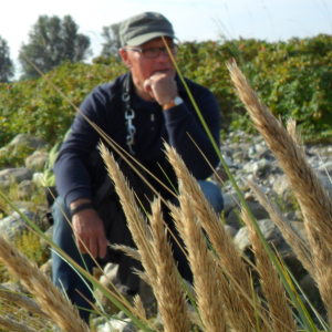 Profilbild von Klaus Nowak