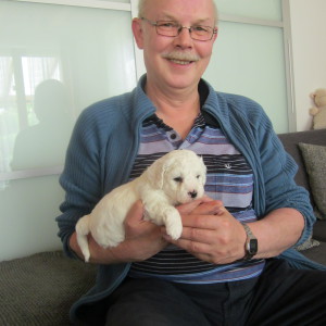 Profilbild von Klaus Salkowski