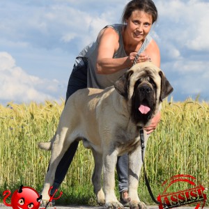 Profilbild von Kornelia Czirjak
