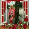 Profilbild von Kornelia Halkier