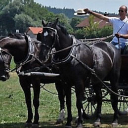Profilbild von Kurt Sauermüller