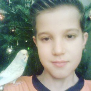 Profilbild von Kyrill Tierbach