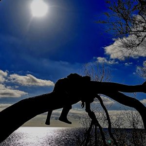 Profilbild von Leo Mauren