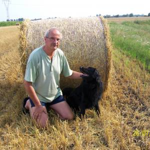 Profilbild von Leo van Elk