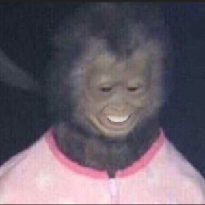 Profilbild von Ludmila Wlassow