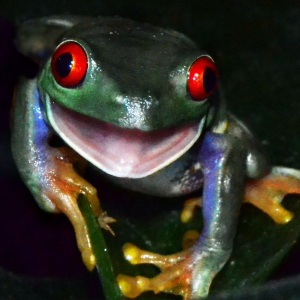 Profilbild von Ludwig Stroux