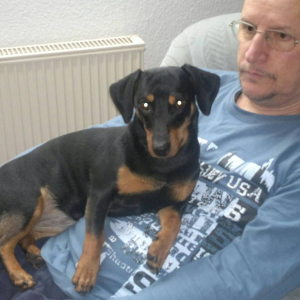 Profilbild von Lutz Krüger