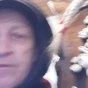 Profilbild von Maik Philipp