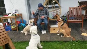 Profilbild von Maltemar Burkhardt