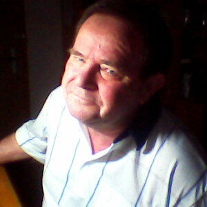 Profilbild von Manfred Schöbel