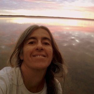 Profilbild von Manigeh Sabok Sir