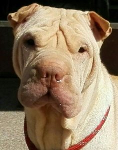 Profilbild von Manuela Bening