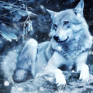 Profilbild von Manuela Wessinger