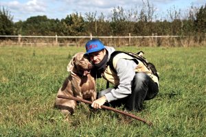 Profilbild von Marc Holling