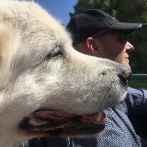 Profilbild von Marc Seyfried