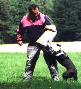 Profilbild von Marcel Machwirth