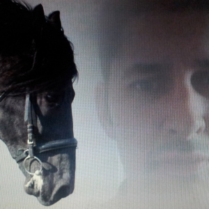 Profilbild von Marco Schuh