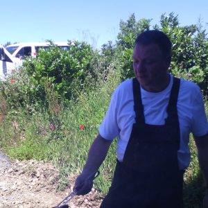 Profilbild von Marco Wagner