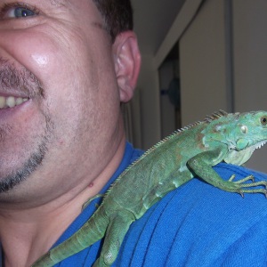 Profilbild von Marcus Glassl