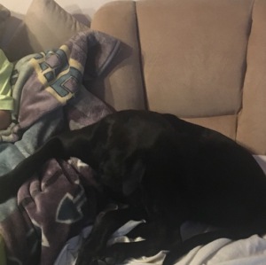 Profilbild von Marcus Lehmann