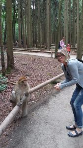 Profilbild von Maren Wendt
