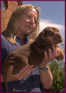 Profilbild von Margaret Williams