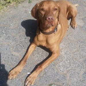 Profilbild von Margita Sapel