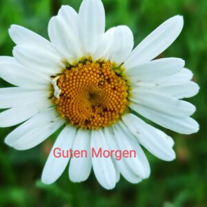 Profilbild von Margret Schmitz
