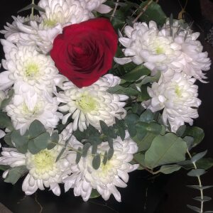 Profilbild von Mariam El-Debs