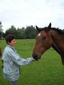 Profilbild von Marianne Heitmann