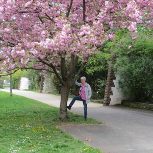 Profilbild von Marianne Schwab