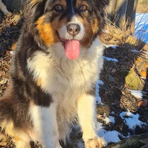 Profilbild von Marina Lendel