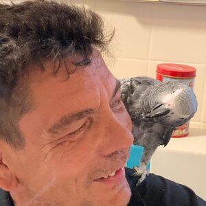 Profilbild von Mario Böning