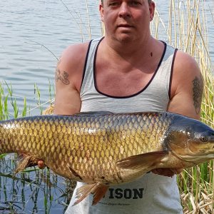 Profilbild von Mario Englisch