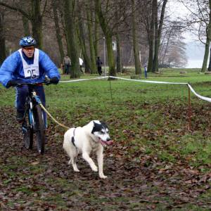 Profilbild von Mario Grywno