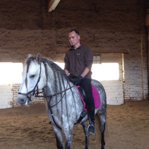 Profilbild von Mario Helsch