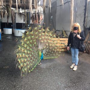 Profilbild von Marion Blunck