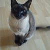 Profilbild von Marion Buck