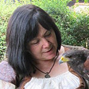 Profilbild von Marion Dollmann