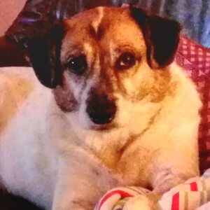 Profilbild von Marion Reinelt