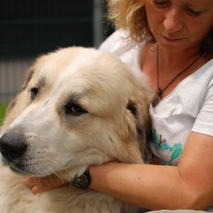 Profilbild von Marion Ruhl